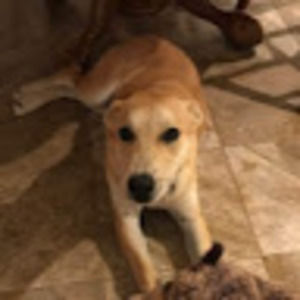 Meet your Posher, Leslie